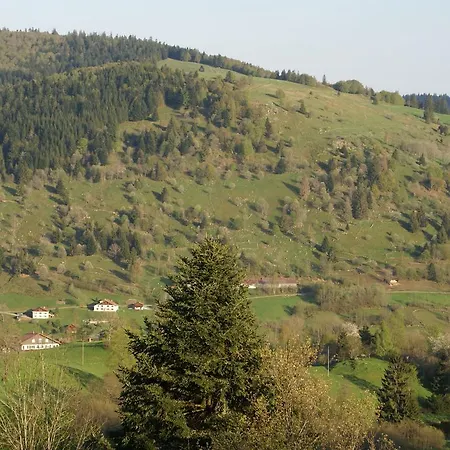 Feriehus Cozy Holiday In Near Forest Dabo